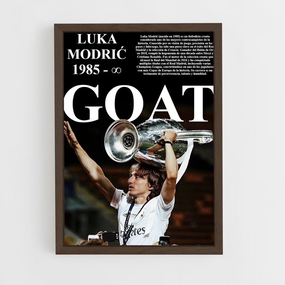 Poster La Gloire de Luka (vue 5)